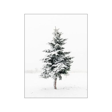 Nature Scenery Canvas Art - Image 1