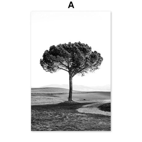 Geometric Nature Gallery Wall Canvas Art - Image 5