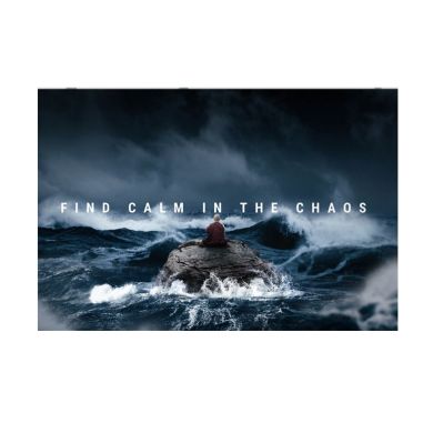 Find Calm In The Chaos Canvas Art - Image 1