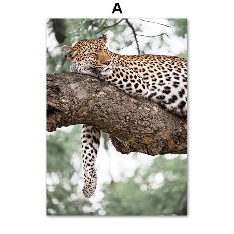 Amazon Jungle Gallery Wall Canvas Art - Image 5