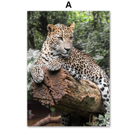 Mother Nature Gallery Wall Canvas Art - Image 5