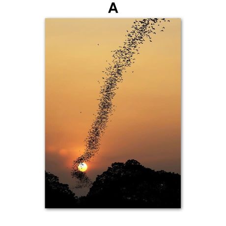 Sunset In The Wilderness Canvas Art - Image 5