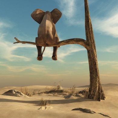 Little Elephant Canvas Art - Image 7