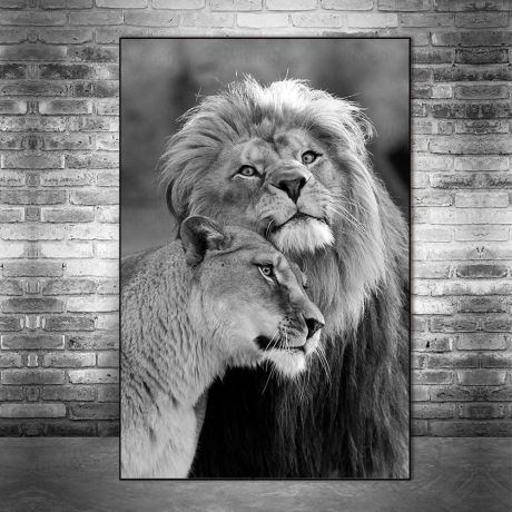 African Wild Lion Canvas Art - Image 2