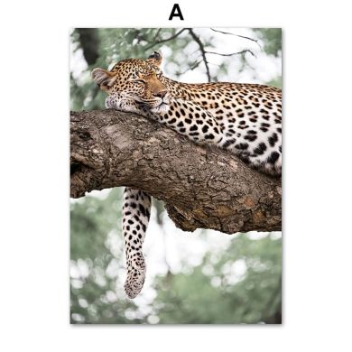 Amazon Jungle Gallery Wall Canvas Art - Image 5