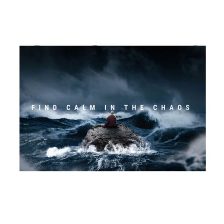 Find Calm In The Chaos Canvas Art - Image 1