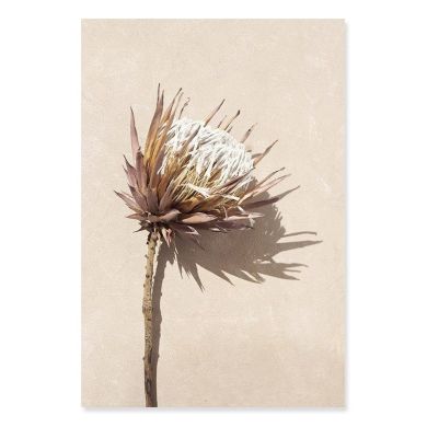 Floral Boho Gallery Wall Canvas Art - Image 5