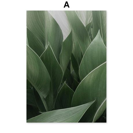 Green Forest Gallery Wall Canvas Art - Image 5