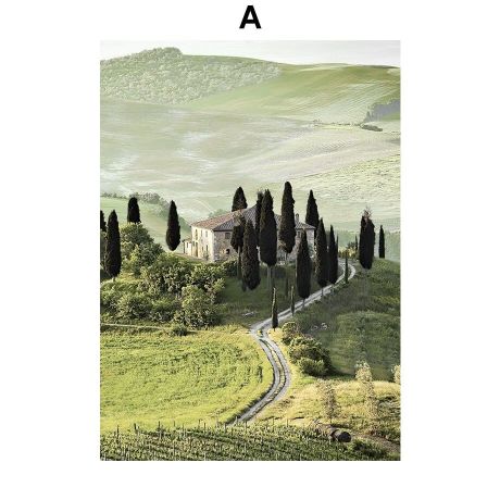 Meadow Orange Garden Waterfall Gallery Wall Canvas Art - Image 5