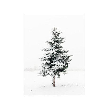 Nature Scenery Canvas Art - Image 1