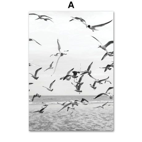 Dolphin in Tropical Island Canvas Art - Image 5
