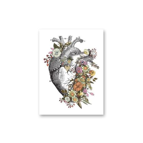 Vintage Organs Anatomy Canvas Art - Image 1