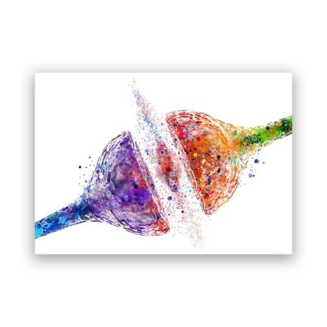 Neurology Canvas Art - Image 6