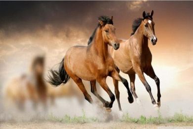 Marching Horses Canvas Art - Image 8