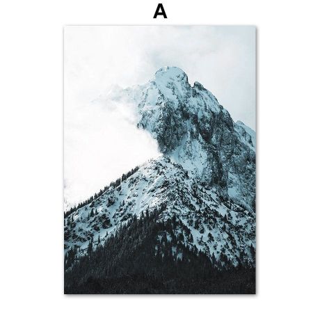 Snow Alps Jungle Lake Gallery Wall Canvas Art - Image 5
