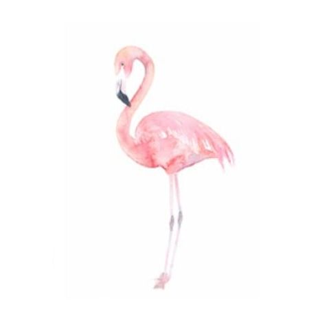 The Flamingos Canvas Art - Image 7