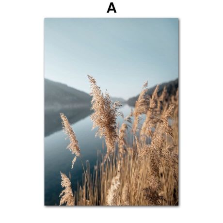 Northern Canyon Gallery Wall Canvas Art - Image 6