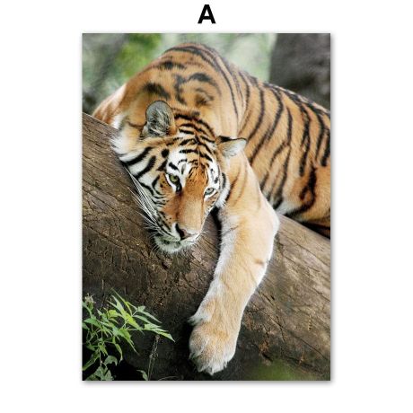 Hakuna Matata Forest Gallery Wall Canvas Art - Image 4