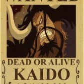 Daedalus Designs - One Piece Dead Or Alive Canvas Art - Review