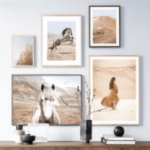 Daedalus Designs - Horse Mountain Desert Canvas Art - Review