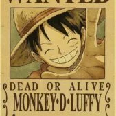 Daedalus Designs - One Piece Dead Or Alive Canvas Art - Review