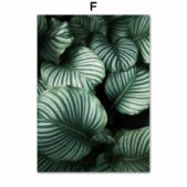 Daedalus Designs - Beach Flower Plant Leaf Gallery Wall Canvas Art - Review