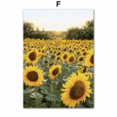 Daedalus Designs - Sunflower Lake Field Gallery Wall Canvas Art - Review