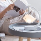 Daedalus Designs - Cute Bird Lamp Music Speaker - Review