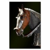 Daedalus Designs - Knight Horse Canvas Art - Review