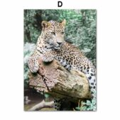 Daedalus Designs - River Daisy Forest Tiger Gallery Wall Canvas Art - Review
