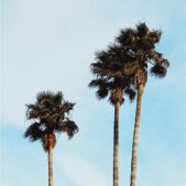 Daedalus Designs - Blue Sky Sandy Beach Gallery Wall Canvas Art - Review