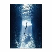 Daedalus Designs - Ocean Life Gallery Wall Canvas Art - Review