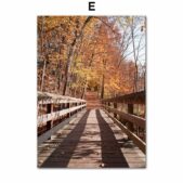 Daedalus Designs - Autumn Maple Forest Gallery Wall Canvas Art - Review