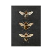 Daedalus Designs - Nature Insect Vintage Canvas Art - Review