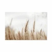 Daedalus Designs - Morning Mist Nature Landscape Gallery Wall Canvas Art - Review