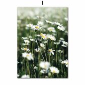 Daedalus Designs - National Park Gallery Wall Canvas Art - Review