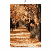 Daedalus Designs - Autumn Pine Forest Castle Gallery Wall Canvas Art - Review
