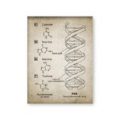 Daedalus Designs - DNA and RNA Genetic Code Canvas Art - Review