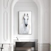 Daedalus Designs - White Horse Canvas Art - Review