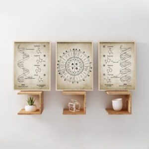 Daedalus Designs - DNA and RNA Genetic Code Canvas Art - Review