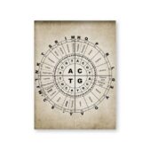 Daedalus Designs - DNA and RNA Genetic Code Canvas Art - Review
