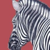 Daedalus Designs - Wild Zebra Canvas Art - Review