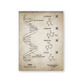 Daedalus Designs - DNA and RNA Genetic Code Canvas Art - Review