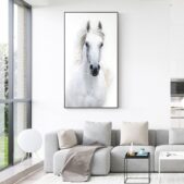 Daedalus Designs - White Horse Canvas Art - Review