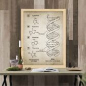 Daedalus Designs - DNA and RNA Genetic Code Canvas Art - Review