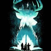 Daedalus Designs - Harry Potter Magic Canvas Art - Review