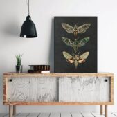Daedalus Designs - Nature Insect Vintage Canvas Art - Review