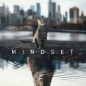 Daedalus Designs - Alpha's Mindset Canvas Art - Review