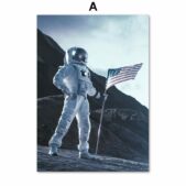 Daedalus Designs - NASA Astronaut Gallery Wall Canvas Art - Review
