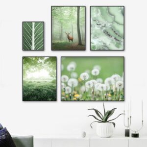 Daedalus Designs - Dandelion Green Cactus Gallery Wall Canvas Art - Review